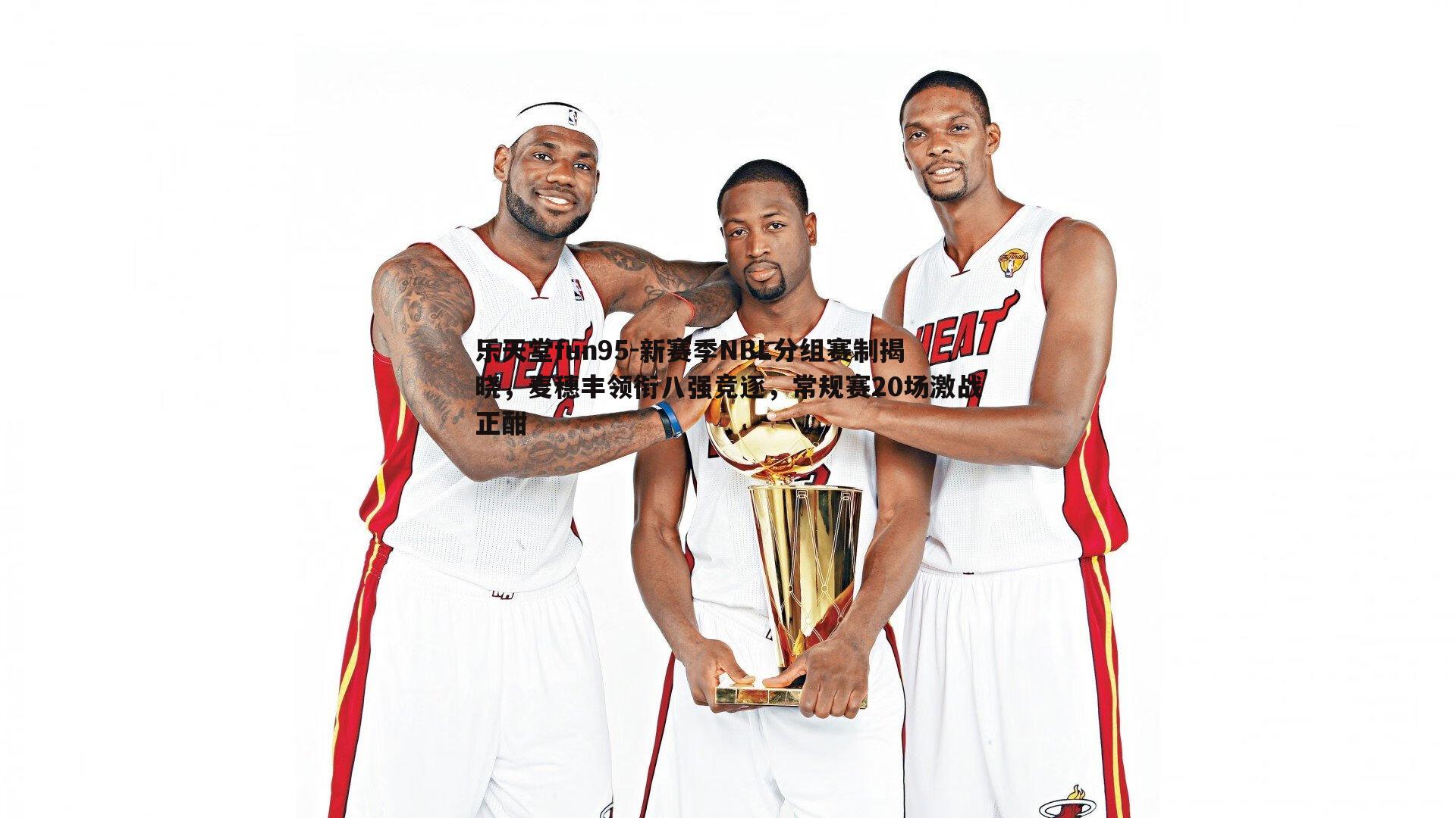 新赛季NBL分组赛制揭晓,麦穗丰领衔八强竞逐,常规赛20场激战正酣